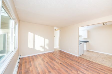 Alexander Apartments - Photo 4