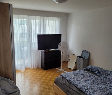 2.5 Zimmerwohnung in Schmitten - Photo 1