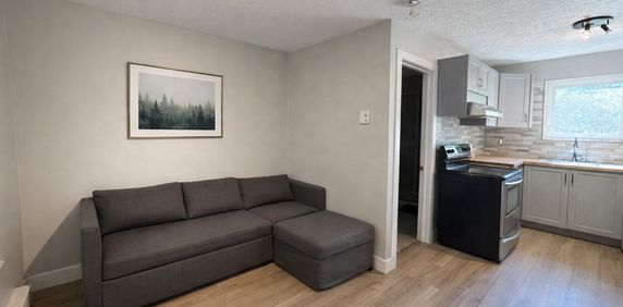 21/2 Central, Près De La Rivière - Photo 2