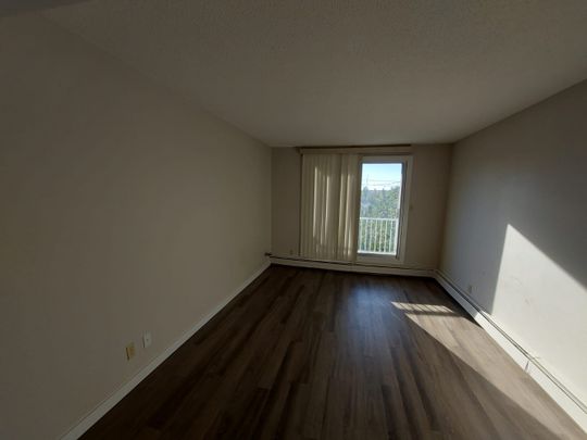 Pet Friendly 2 Bedroom, 1 Bathroom Apartment - Photo 1