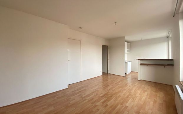 Appartement à louer 2 pièces • 42 m 2 Toulouse - Photo 1