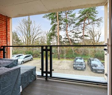 Kingfisher House, Blackwater, GU17 - Photo 6