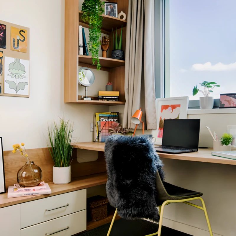 Large Studio - Photo 1