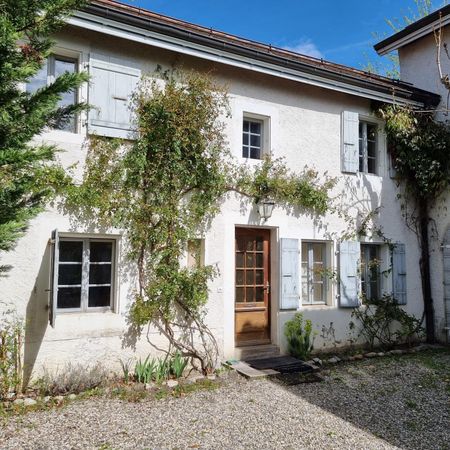 2.5 Zimmer, 80 m² - Photo 3