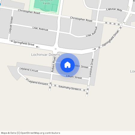 8 Linden Street Lochinvar, NSW 2321