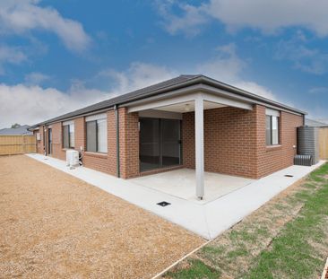 Modern family home in Bonshaw - Photo 4