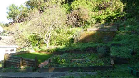 Private and peaceful house in Island Bay - Photo 5