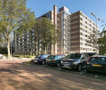 Fluitekruidweg 0ong, 1508 Zaandam, Nederland - Foto 4