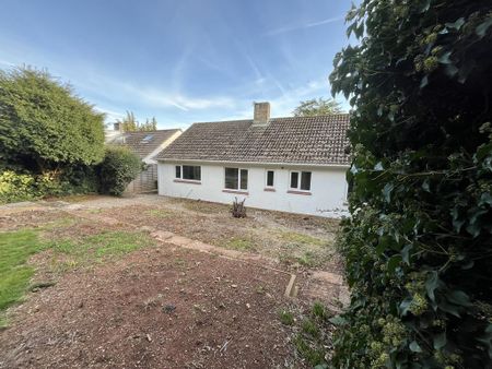 2 bedroom detached bungalow to rent - Photo 5