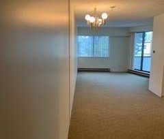 1 Bedroom Apartment in Kitsilano - 2 BLOCKS TO KITS BEACH - Photo 2