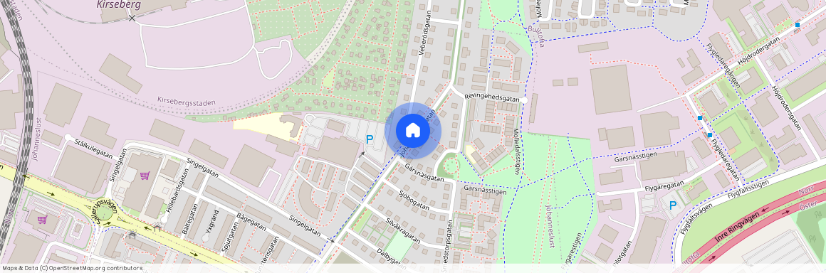 Johanneslustgatan 3 (391-313-01), Johanneslust