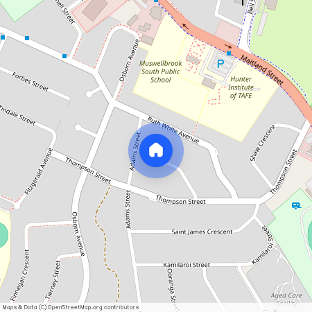 16 Donaldson Street, NSW 2333, Muswellbrook