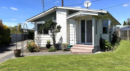 Freshly Renovated - Photo 5