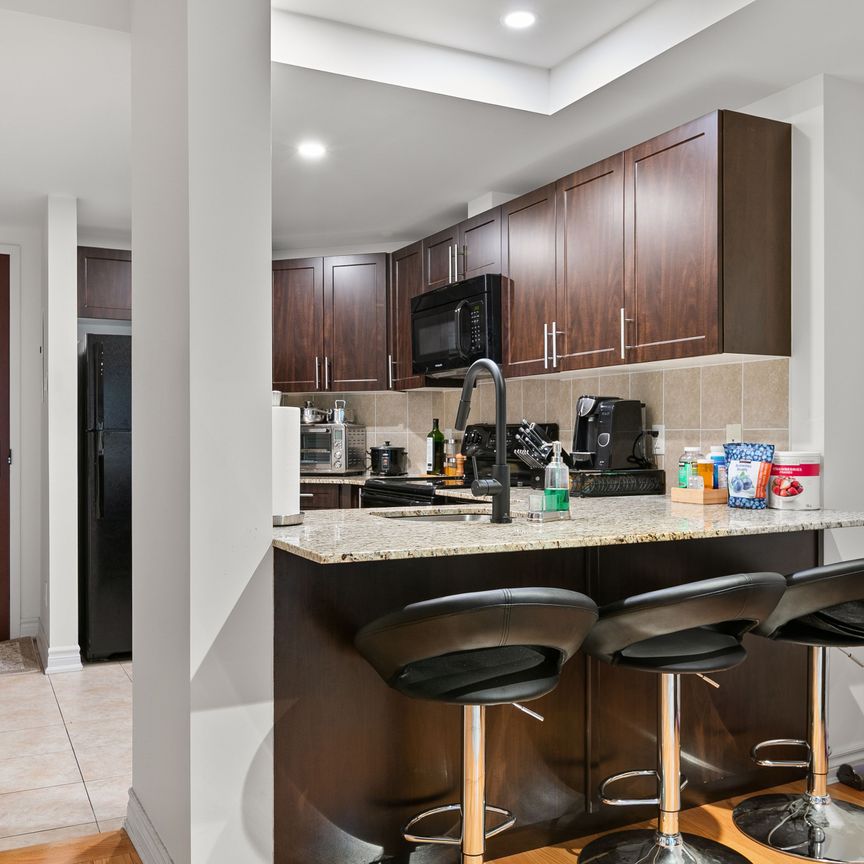 For Lease - 234 Rideau Street Unit# 1509, Lower Town - Sandy Hill, Ontario - Photo 1