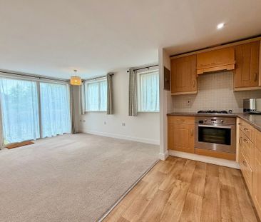 Richmond Court, St. Davids Hill - Photo 1