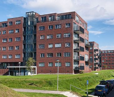 Klaverveld 95 - Photo 5