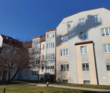 3-Zimmer-Wohnung, Top 12 - Foto 6