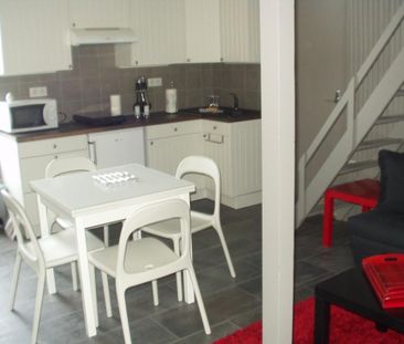 Location Appartement 1 pièce Meublé 27m² AIX LES BAINS 73100 - Photo 2