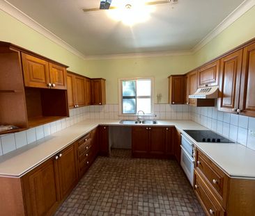 38 Park Street, Hawthorne QLD 4171 - House For Rent | Domain - Photo 4