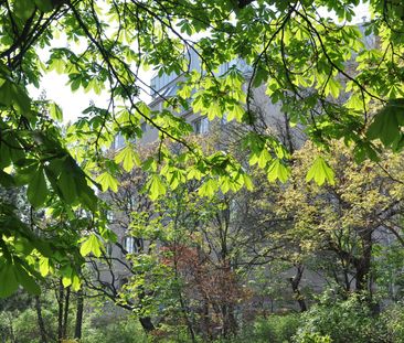 Sonnleithnergasse: 1-Zimmer-Wohnung zu mieten! - Photo 5