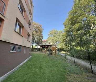 Pronájem bytu 1+1 se sklepní kójí a možností užívání zahrady u domu - Photo 4