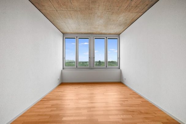 Moderne 3.5-Zimmer-Wohnung mit Weitblick - Photo 1