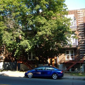 Très beau 3 1/2 à louer, entièrement rénové! À voir absolument! - Photo 2