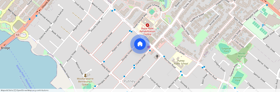 2A Douglas Street, Putney 2112, New South Wales