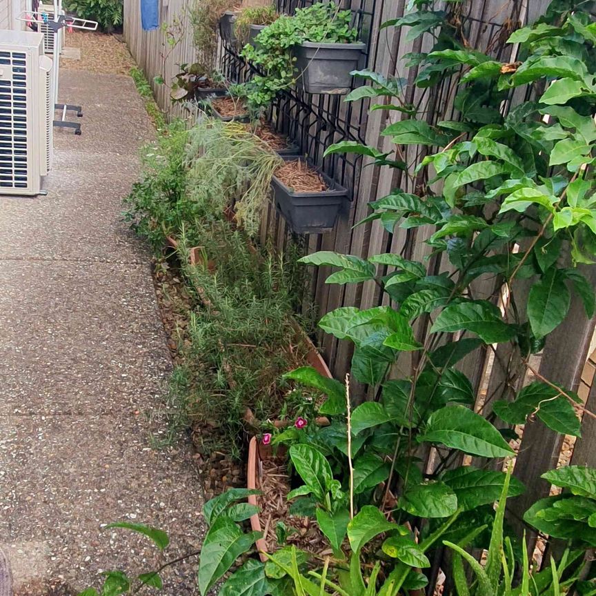 Maroochydore - Photo 1