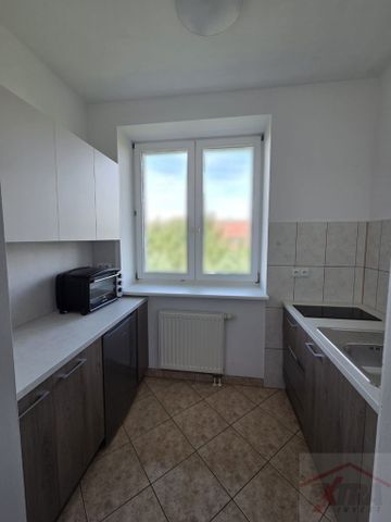 MIESZKANIE na WYNAJEM SZCZECIN (437686) - Photo 5