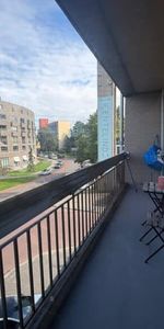 Haagbeuklaan - Photo 3