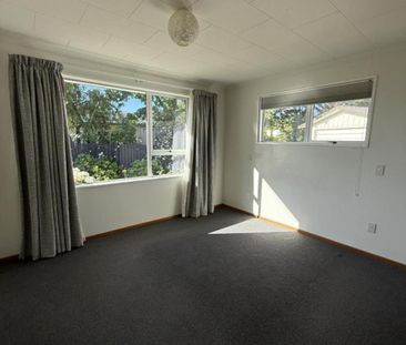 Sunny Family Home in Renwick - Photo 5