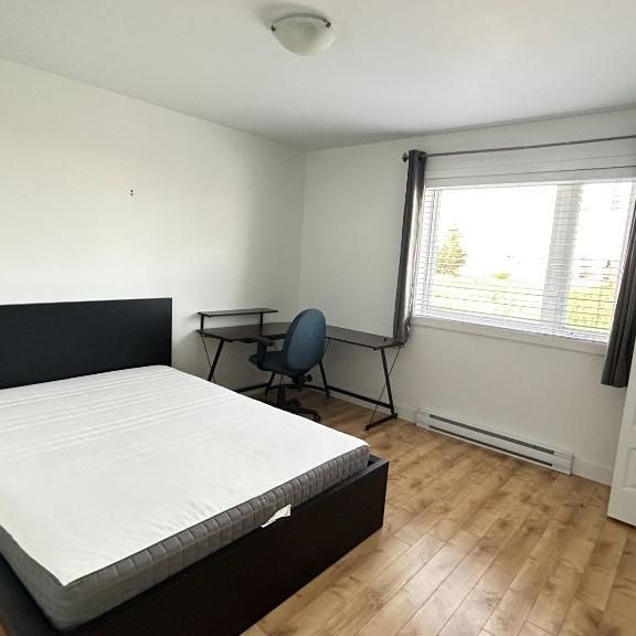 1er décembre 5 1/2 MEUBLÉ, IDÉAL POUR ÉTUDIANTS, près UQTR, Air climatisé, Lave-vaisselle, micro-onde, aspirateur, stationnements déneigés NON-FUMEUR - Photo 1