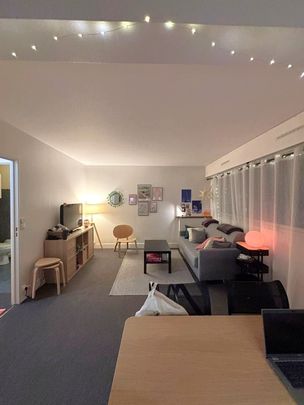 1 pièce - Meublé - 30 m² - 1er étage - Colocation non autorisée - Photo 1