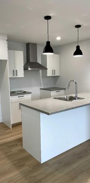 *Magnifique 5 1/2 et 4 1/2 + complétement neuf et moderne* - Photo 1