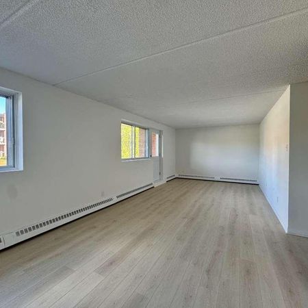 Grand appartement éclairé et chauffé - Photo 4