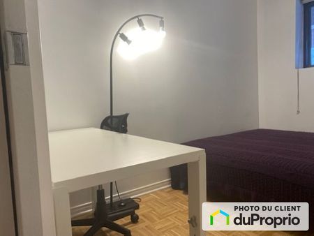 4455, rue St-Urbain, Le Plateau-Mont-Royal à louer - Photo 5