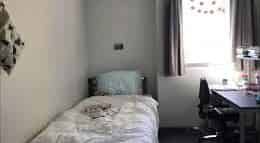 Central Auckland 1BR Oasis w/ Pool! - Photo 2