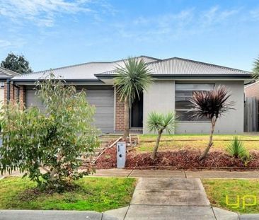Family Friendly Home In Cranbourne West - Photo 6