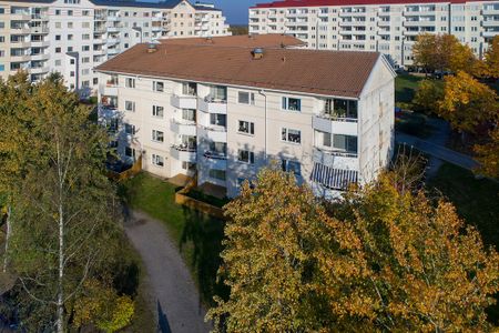 Lejonets Gata 353, Brandbergen - Photo 5