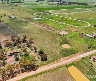 Farm Land for Lease.... - Photo 3