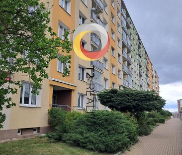 Pronájem bytu 1+kk 20 m² - Fotografie 6