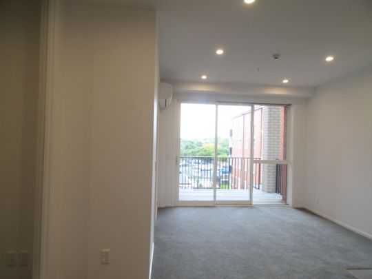 Beautiful home in Mt Albert - Photo 1