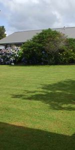 17A Regan Street, Stratford - Photo 4