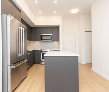 "New Modern & Spacious 2-Bed/2 Bath Penthouse Available! - Photo 3