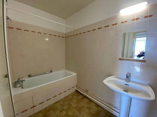 Location appartement rénové 2 pièces 63.5 m² à Vienne (38200) 6 - Photo 1