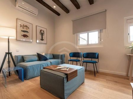 1 room luxury penthouse for rent in Barri Gotic, Barcelona, Catalonia - Photo 4