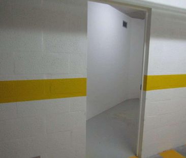 2 Bedroom Apartment with swimming pool, São Miguel das Encostas (Ca... - Photo 5