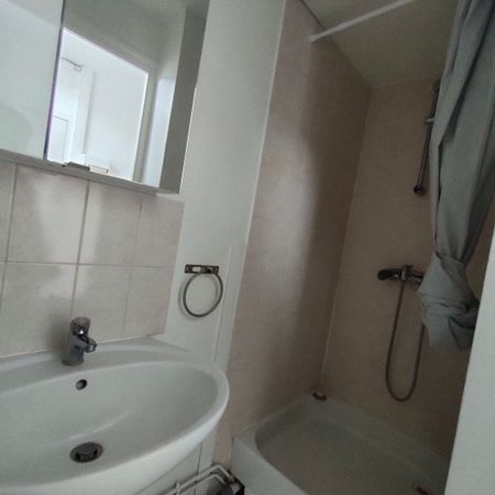 Location Appartement 1 pièce 24m² - Photo 3