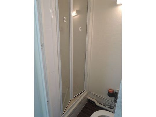 Location Appartement 1 pièce 15m² ORLEANS 45100 - Photo 1